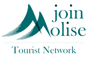 LOGO JOIN MOLISE 6A
